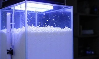 Protein Skimmer